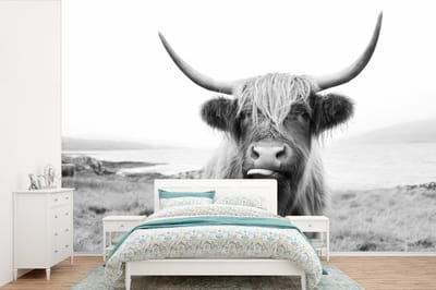 Behang - Fotobehang Dieren - Schotse hooglander - Koe - Zwart - Wit - Breedte 390 cm x hoogte 260 cm