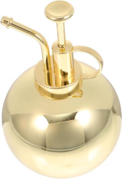 Roestvrijstalen Gieter - Waterkan Plantenspuit - Binnen Tuinieren - Delicate Waternevel - 16x16x10 cm - Goud