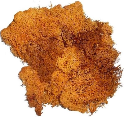 Decoratie nep mos - 2x - oranje - 50 gram - Hobby/knutselen - herfst/kerst thema decoreren - nature