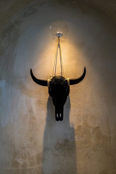 Monnarita - Boho Stijl - Decoratieve Stierenkop - Zwart - Handgemaakt