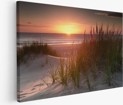 Saammp Muurcirkel Hout - Luipaard op steen - Natuur - Dieren - Ø 90 - Wandcirkel - Wanddecoratie Cirkel - Muurdecoratie Woonkamer - Slaapkamer decoratie - Rond Schilderij