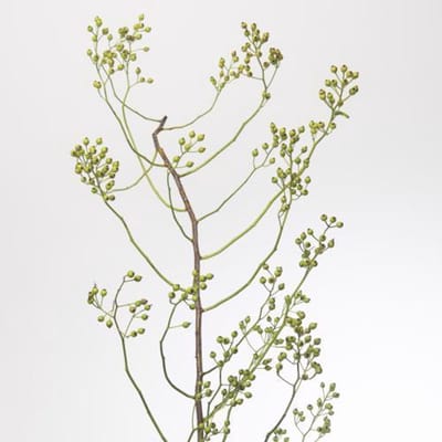 10x Rosa corallo 10cm