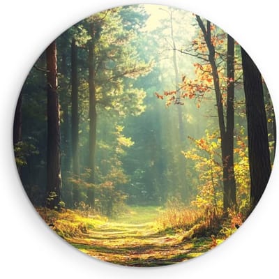 Saammp Muurcirkel Hout - Botanisch - Bos - Herfstachtig - Landschap - Natuur - Ø 90 - Wandcirkel - Wanddecoratie Cirkel - Muurdecoratie Woonkamer - Slaapkamer decoratie - Rond Schilderij