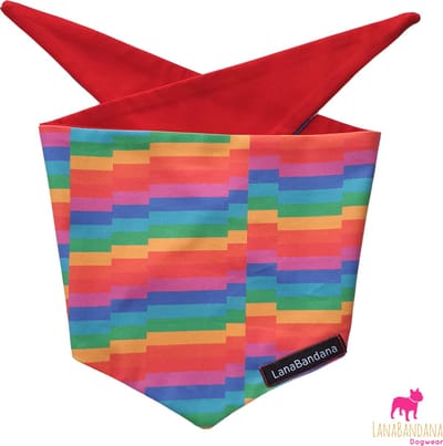 Hondenbandana | Knoopbandana | Pride | Rainbow maat M | Regenboog