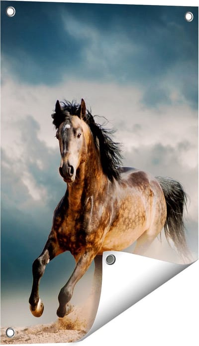 Gards Tuinposter Wilde Paard in het Zand - 40x60 cm - Tuindoek - Tuindecoratie - Wanddecoratie buiten - Tuinschilderij
