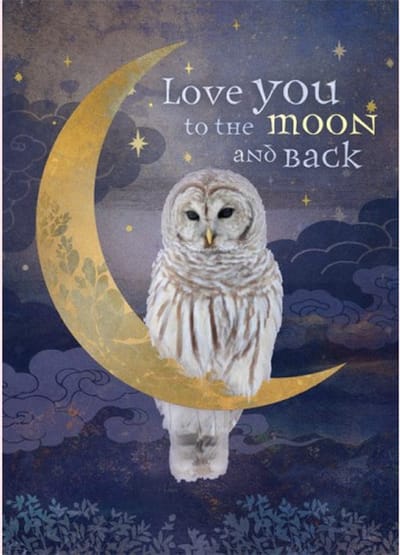 Amber Lotus - love you to the moon and back - uil - blanco - wenskaart - 3 stuks