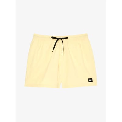 Quiksilver Everyday Solid Volley 15 Boardshorts