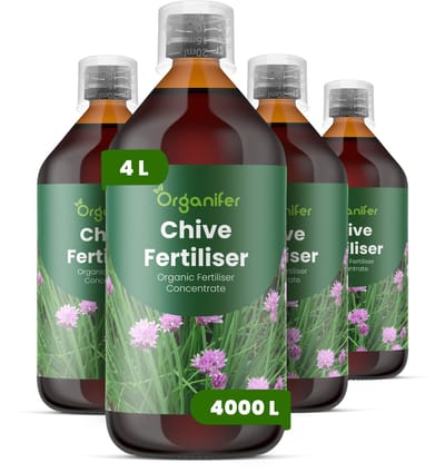 Vloeibare Meststof Voor Bieslook 4X1 L Voor 4000 L - Npk 2-1-8 - Krachtige Groei - Bladdichtheid - Smaakintensiteit - Wortelvorming - Polvorming - Diepgroen Blad - Hergroei Na Oogst - Stressbestendig - Organifer