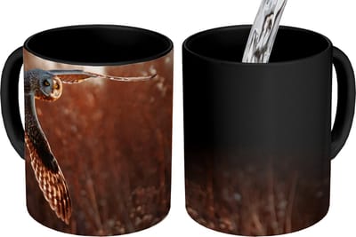 Magische Mok - Foto op Warmte Mokken - Koffiemok - Vogel - Uil - Zonsondergang - Natuur - Magic Mok - Beker - 350 ML - Theemok