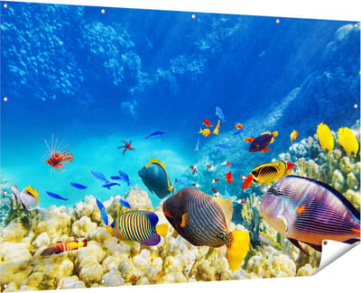 Gards Tuinposter Vissen in de Oceaan met Koralen - 180x120 cm - Tuindoek - Tuindecoratie - Wanddecoratie buiten - Tuinschilderij