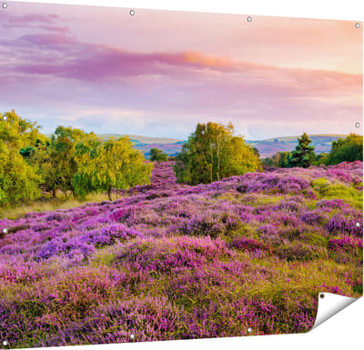 Gards Tuinposter Paarse Weide - 150x120 cm - Tuindoek - Tuindecoratie - Wanddecoratie buiten - Tuinschilderij