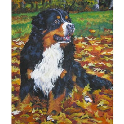 Diamant schilderij borduurwerk Berner Sennenhond strass volledige ronde boor bruiloft decoratie 20X30CM white