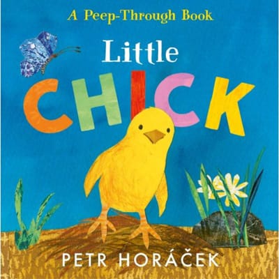 Little Chick - Petr Horacek