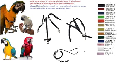 Halsband voor papegaaien, maat Ara, kakadua, elastisch, hals van 10 mm, altijd zwart, gekleurde banden, 2 metalen haken, lijn 3 mm (zwarte hals, zwarte banden)