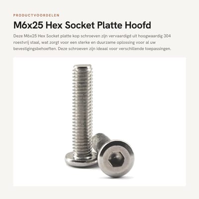 Dailygoods- Schroef M6x25 - Platte Kop - Zeskantschroef - 304 Roestvrij Staal - Pack van 20 - Slijtvast en Corrosiebestendig - Bout
