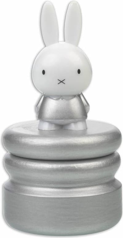 Bambolino Toys Nijntje Tandendoosje - Zilver