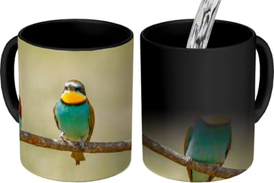 Magische Mok - Foto op Warmte Mokken - Koffiemok - Vogels - Dieren - Bijeneter - Magic Mok - Beker - 350 ML - Theemok
