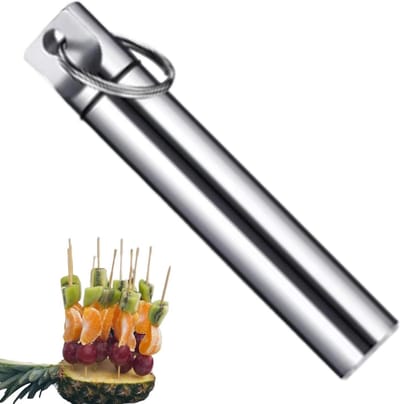 Tandenstokerhouder - Reisbox - Hygiënisch Vervoer - Mat Metaal - 97 cm - Zilver