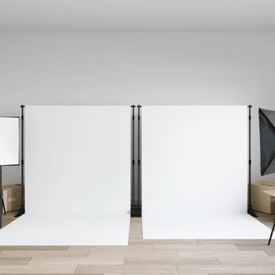 vidaXL - Achtergrondstandaards - 2 - st - 254x243 - cm - staal - zwart