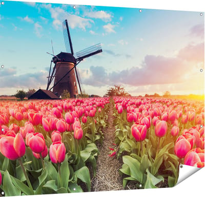 Gards Tuinposter Roze Tulpen Bloemenveld - met Windmolen - 150x120 cm - Tuindoek - Tuindecoratie - Wanddecoratie buiten - Tuinschilderij