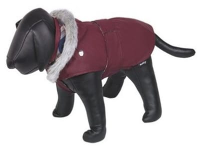 duvo regenjas voor honden maat 44 cm marian bordeau met uitneembare onderjas en afneembare kap -