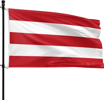VlagDirect - Oostergose vlag - Regio Oostergo vlag - 90 x 150 cm.
