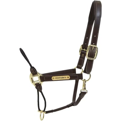 Kentucky Horsewear - Leder halster rope Full