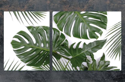 TMK ArtDeko Serie - Snijplank en Ovenschaal - Monstera Design - Glas