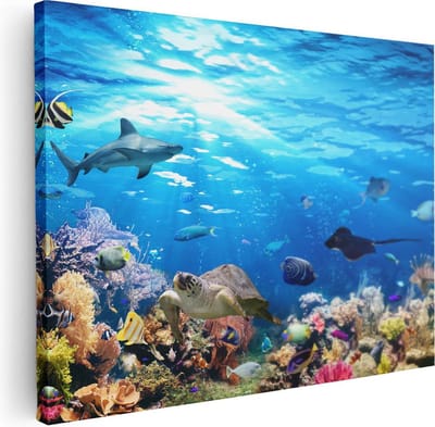 Artaza Canvas Schilderij Zeeschildpad - 40x30 cm - Klein - Wanddecoratie Dieren - Muurdecoratie Tropische Vissen - Schilderijen Op Canvas Zee