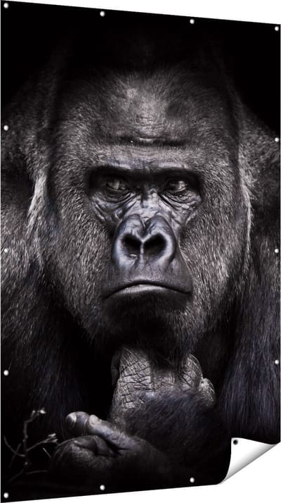 Gards Tuinposter Gorilla - Zwart Wit - 120x180 cm - Tuindoek - Tuindecoratie - Wanddecoratie buiten - Tuinschilderij