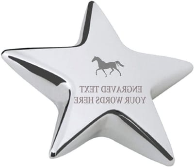 Paard Papiergewicht - Bureau Accessoire - Bureau Organisatie - Hand Gegraveerd Ontwerp - 70mm x 70mm - Zilver