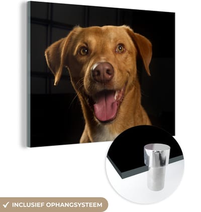 MuchoWow® Glasschilderij 160x120 cm - Schilderij acrylglas - Hond - Huisdieren - Portret - Foto op glas - Schilderijen