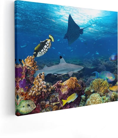 Artaza Canvas Schilderij Tropische Vissen - 50x40 cm - Wanddecoratie Koraalrif - Muurdecoratie Zeeschildpad - Kamer Accessoires Onderwaterwereld