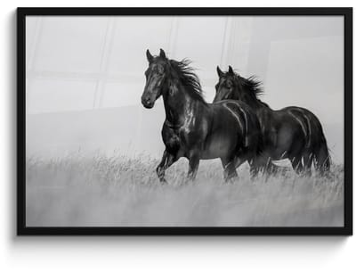Poster in lijst - Fotolijst 90x60 cm - Posters - Paarden - Gras - Zwart - Wit - Posterlijst zwart - Decoratie - Wanddecoratie woonkamer - Muurdecoratie slaapkamer