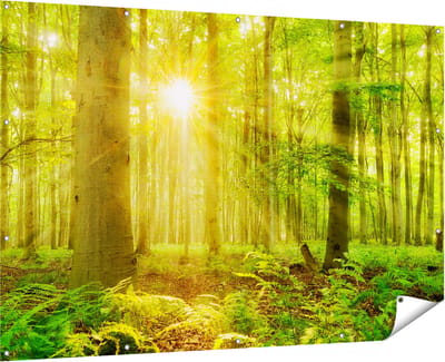 Gards Tuinposter Groen Bos met Schijnende Zonnestralen - 180x120 cm - Tuindoek - Tuindecoratie - Wanddecoratie buiten - Tuinschilderij