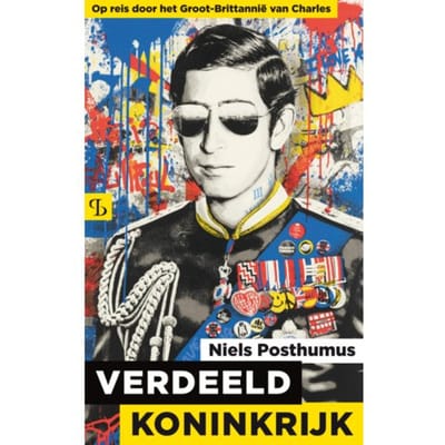 Verdeeld Koninkrijk - Niels Posthumus