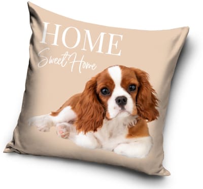 Hondenkussenhoes 40*40 cm
