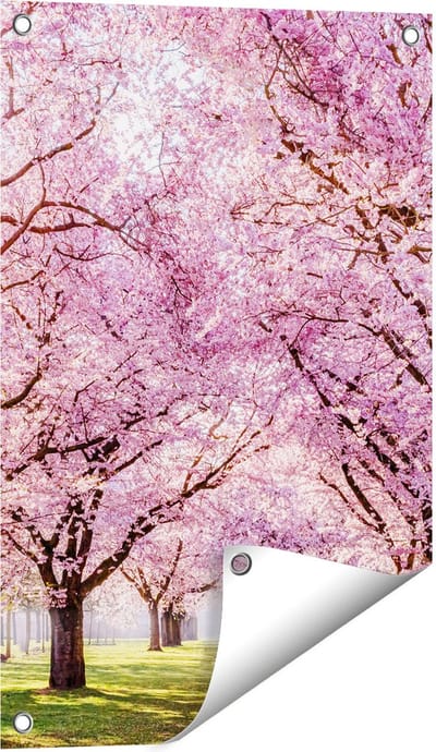 Gards Tuinposter Roze Bloesembomen Park - Bloemen - 40x60 cm - Tuindoek - Tuindecoratie - Wanddecoratie buiten - Tuinschilderij