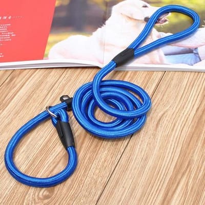 Nylon Trainingslijn Voor Honden - Hondenriem - Blauw - Tot 5 kg