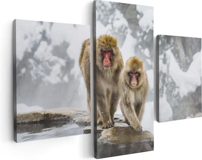 Artaza Canvas Schilderij Drieluik Twee Aapjes In De Sneeuw Op Rotsen - 90x60 - Foto Op Canvas - Canvas Print
