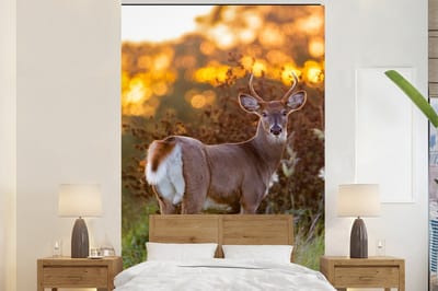 Behang - Fotobehang Hert - Planten - Zonsondergang - Wilde dieren - Natuur - Breedte 225 cm x hoogte 350 cm