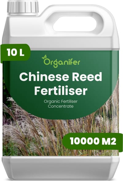 Vloeibare Meststof Voor Chinees Riet 10 L Voor 10000 M2 - Npk 3-4-3 - Siergras - Architectonische Bladeren - Sterke Pluimvorming - Rizoom Ontwikkeling - Windbestendige Stengels - Hittebestendig - Droogtebestendig - Organifer