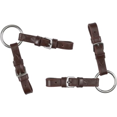 Alliantie voor bits HorseGuard