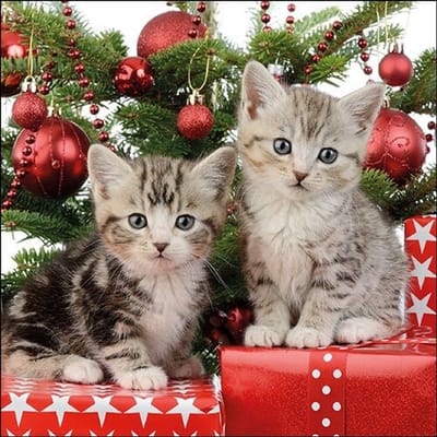 Ambiente - Lunch servetten - Christmas Kitten