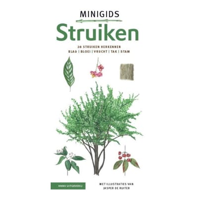 Minigids Struiken Set - Minigids