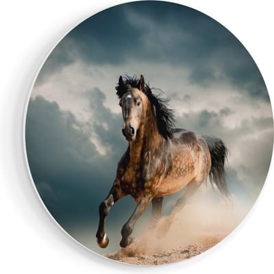 Artaza Forex Muurcirkel Wilde Paard In Het Zand - 50x50 cm - Klein - Wandcirkel - Rond Schilderij - Muurdecoratie Cirkel