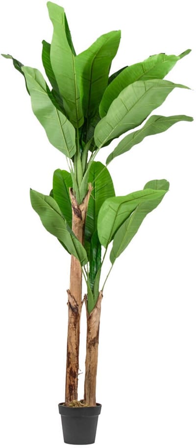 HomeBound by KY | Kunstplant bananenboom 180cm | kunstplant | 180cm