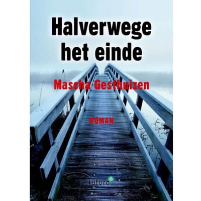 Halverwege Het Einde - Mascha Gesthuizen