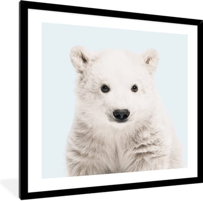 FrameYourWall® - Fotolijst met poster 40x40 - Dieren - IJsbeer - Portret - Blauw - Fotokader van hout - Kaders en lijsten - Houten fotolijstje - Wissellijst voor muurposter - Picture en photo frame - Posterlijst - Fotohouder