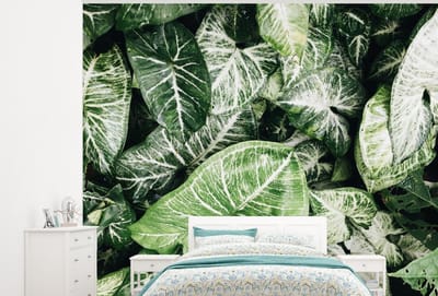 Behang - Fotobehang Bladeren - Planten - Natuur - Breedte 300 cm x hoogte 240 cm